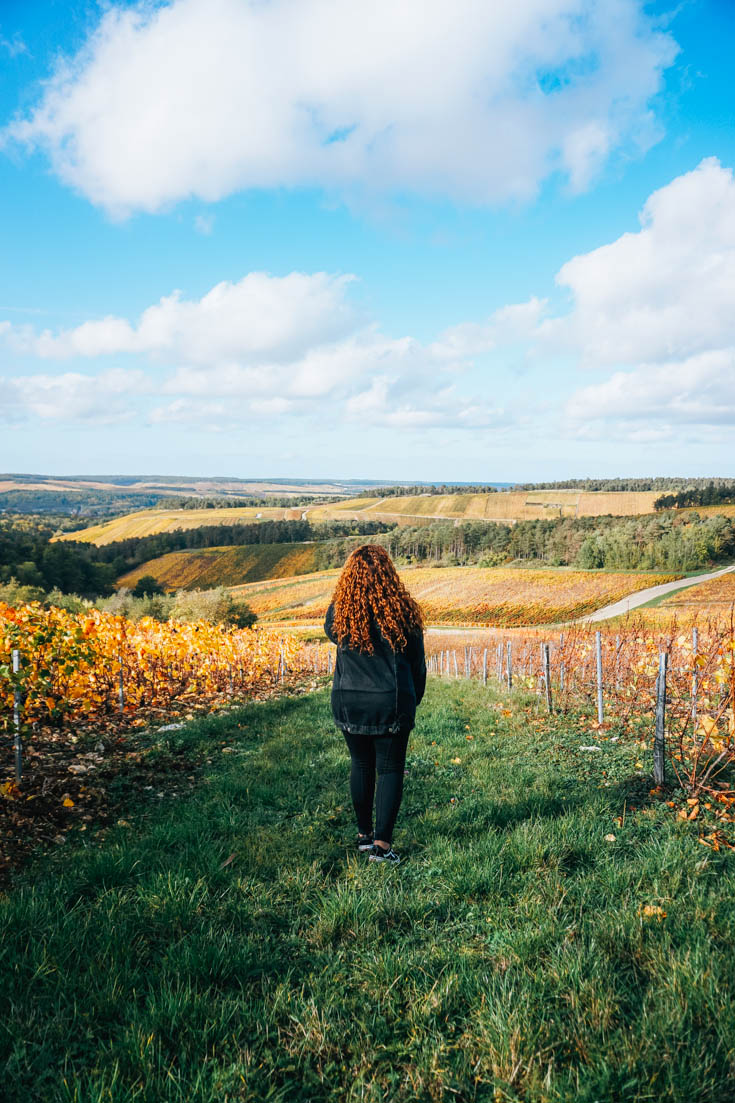 Aube en Champagne