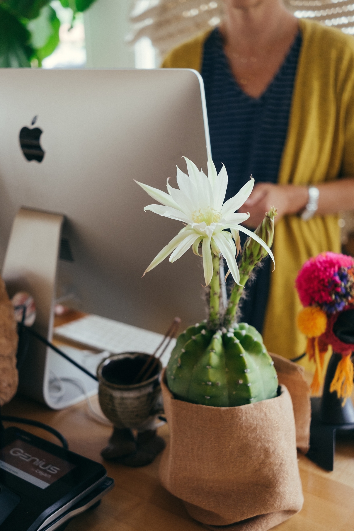 Mettre de l'ordre dans son business façon Marie Kondo